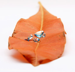 Similar image 12692459