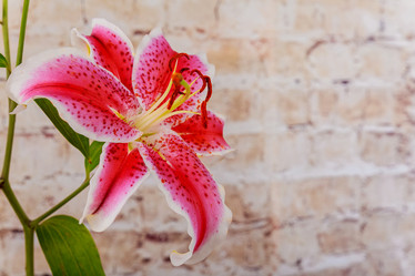 Similar image 12695272