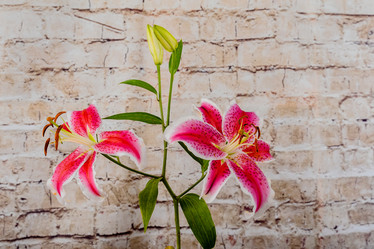 Similar image 12695273