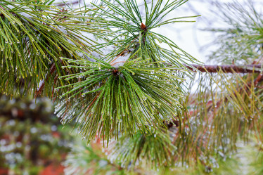 Similar image 12695062