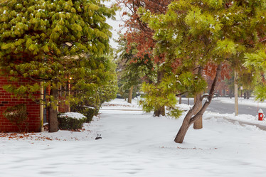 Similar image 12695063