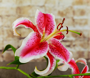 Similar image 12694907