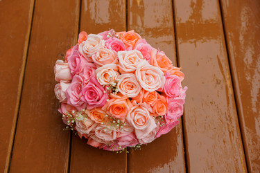 Similar image 12695223