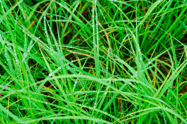 Similar image 12695226