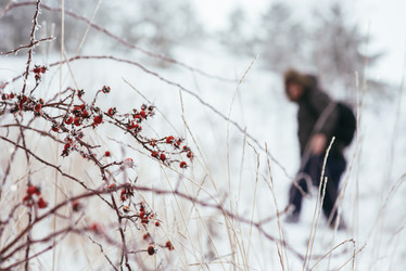 Similar image 12698015