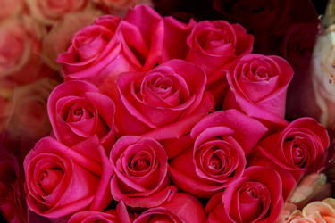 Similar image 12694914