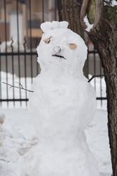 Similar image 12994898