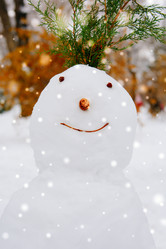 Similar image 12994922