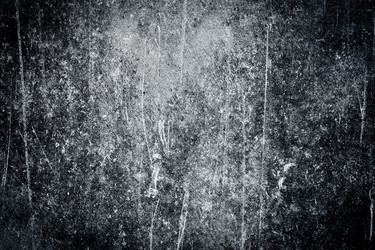 Similar image 12982636