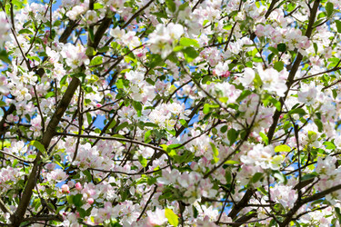 Similar image 12982667