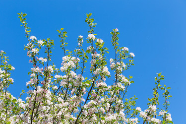 Similar image 12982706