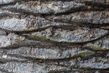 Similar image 12982726