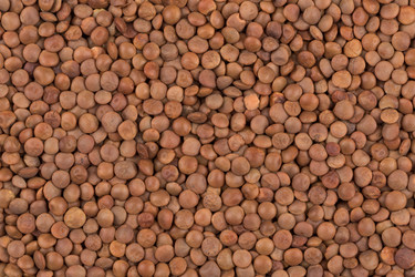 Similar image 12982728