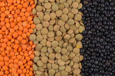 Similar image 12982762