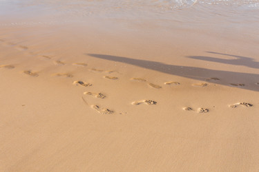 Similar image 12982763