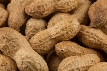 Similar image 12982803