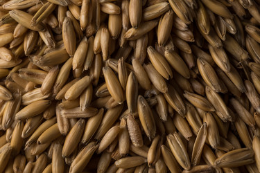 Similar image 12982831