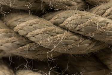 Similar image 12982832