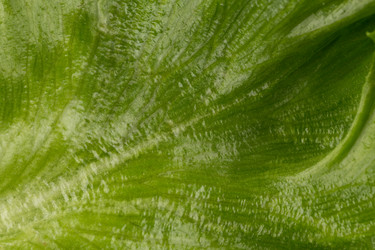 Similar image 12982841