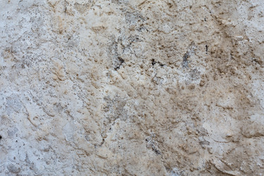 Similar image 12981291