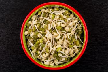 Similar image 12981292