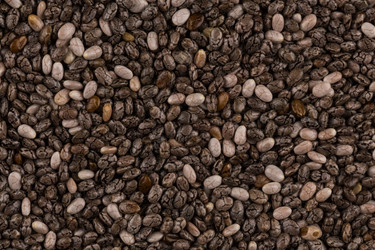 Similar image 12982184