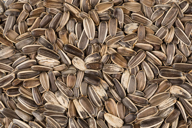 Similar image 12982204