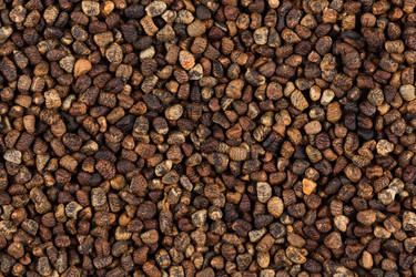 Similar image 12982223