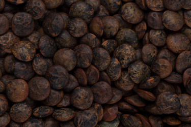 Similar image 12982475