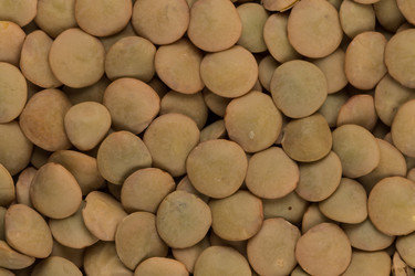 Similar image 12982493