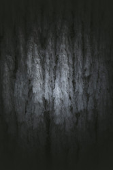 Similar image 12695465