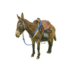 Similar image 12693731