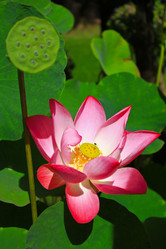 Similar image 12689838