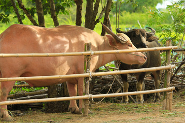 Similar image 12689896