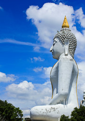 Similar image 12984578