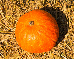 Similar image 12689769