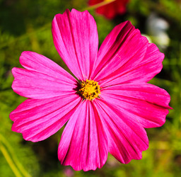 Similar image 12689771