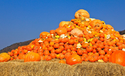 Similar image 12689824