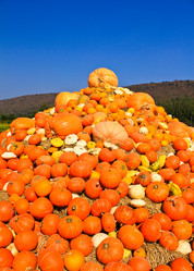 Similar image 12689840