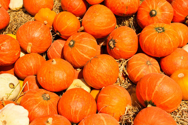 Similar image 12689841