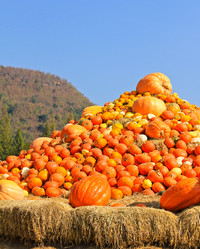 Similar image 12689842