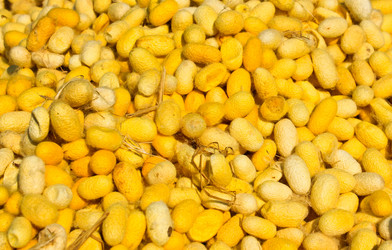 Similar image 12689863