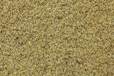 Similar image 12984581