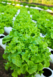 Similar image 12984594