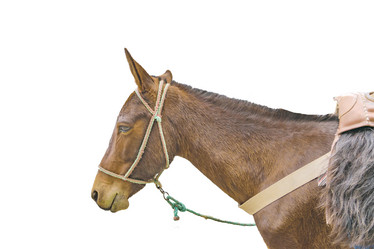 Similar image 12693735