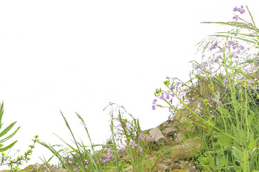 Similar image 12693737