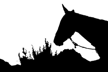 Similar image 12689552