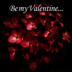 Similar image 12697155