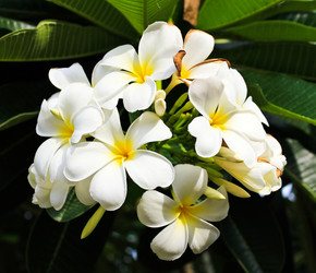 Similar image 12689865