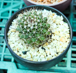 Similar image 12698056